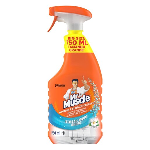 Mr Muscle Window and Surface Cleaner 750ml